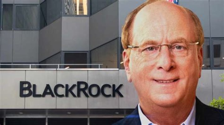 A Deeper Look Into Larry Fink's Matrimonial Life At BlackRock