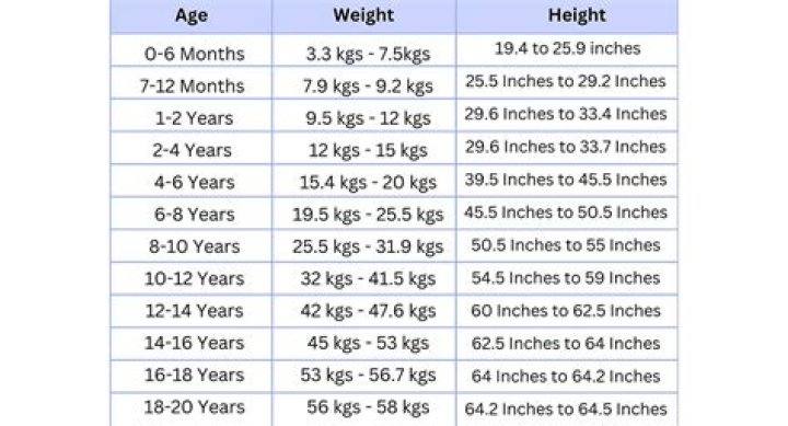 A Journey Of Height, Weight, Age, Husband, And Biography