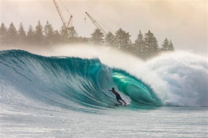 A Surfing Icon And Conservation Champion