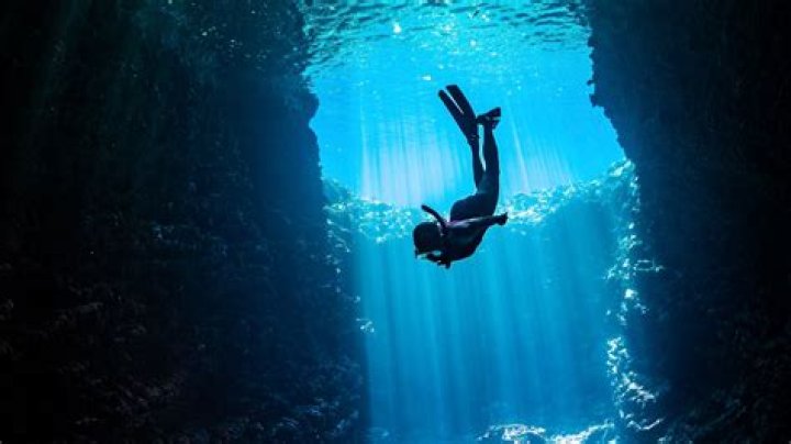 A Wikipedia Deep-Dive Into The Tech And Culture Journalist