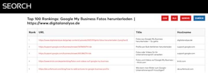 Accurate Google Ranking Check For SEO Optimization