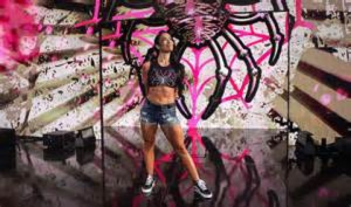 AJ Lee's Family Life Explored