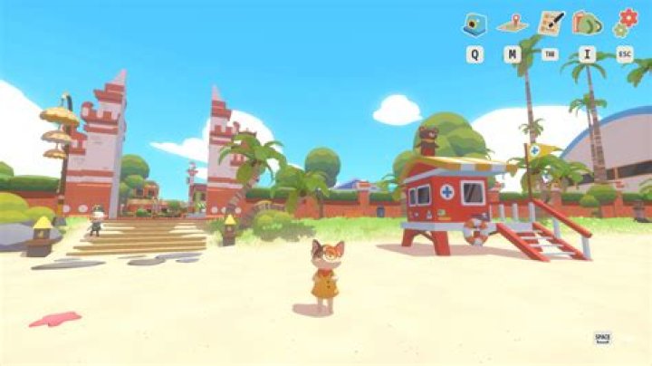 An Unforgettable Journey With Nikki Catso: The Feline Adventure