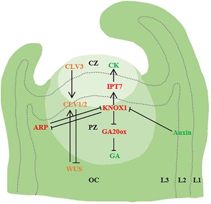 Andrea Roth: An In-Depth Look At The Renowned Actress