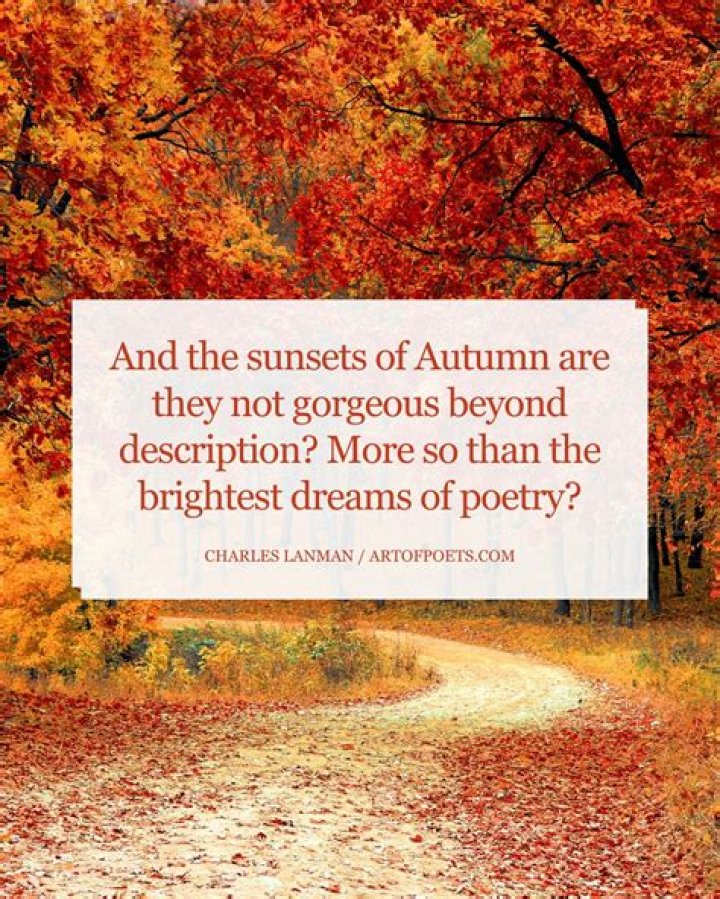 Autumn Splendor: The Beauty Of Autumn Heights