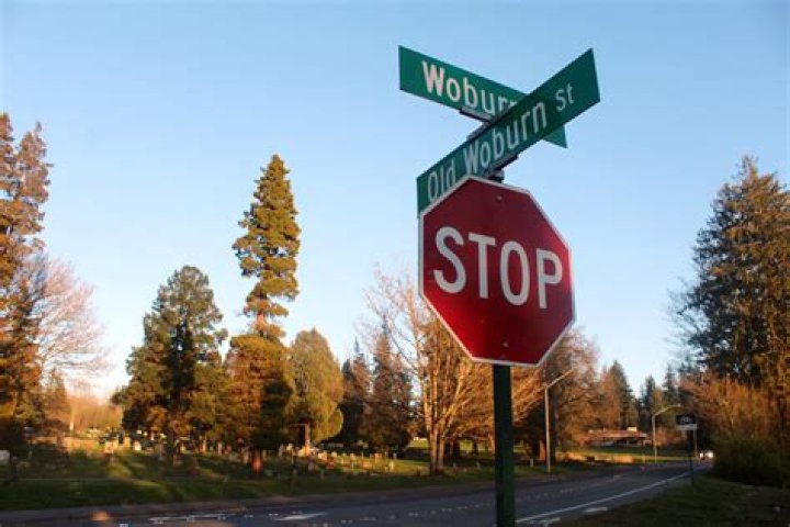 Bellingham Natives: Discover The Origins Of Famous Individuals