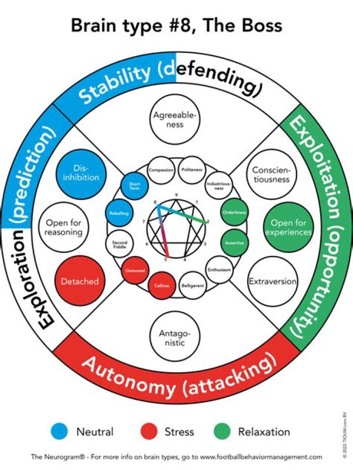 Brain Type 8 Disorder Discoveries And Insights