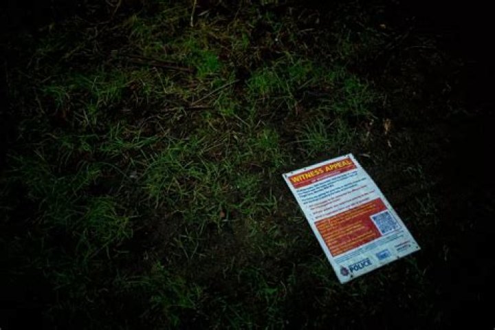 Breaking Update: The Latest On The Ava Case