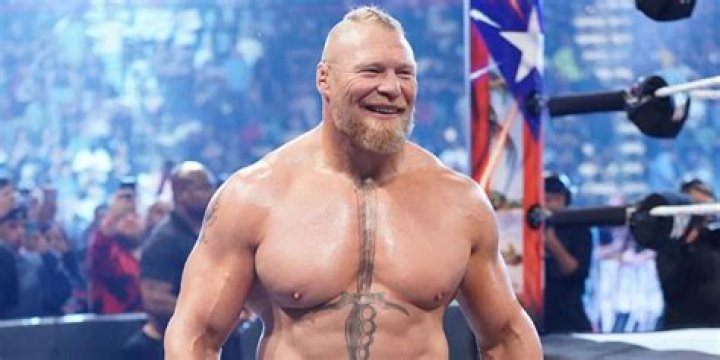Brock Lesnar's Military Career: From UFC To WWE