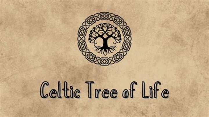Caitlin Clark's Irish Connection: Unraveling The Celtic Roots
