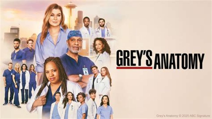 Danny Ducat: Exploring His Role In Grey's Anatomy