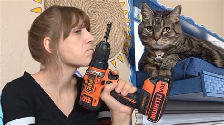 Discover Aymie Herman's Net Worth And Investing Secrets