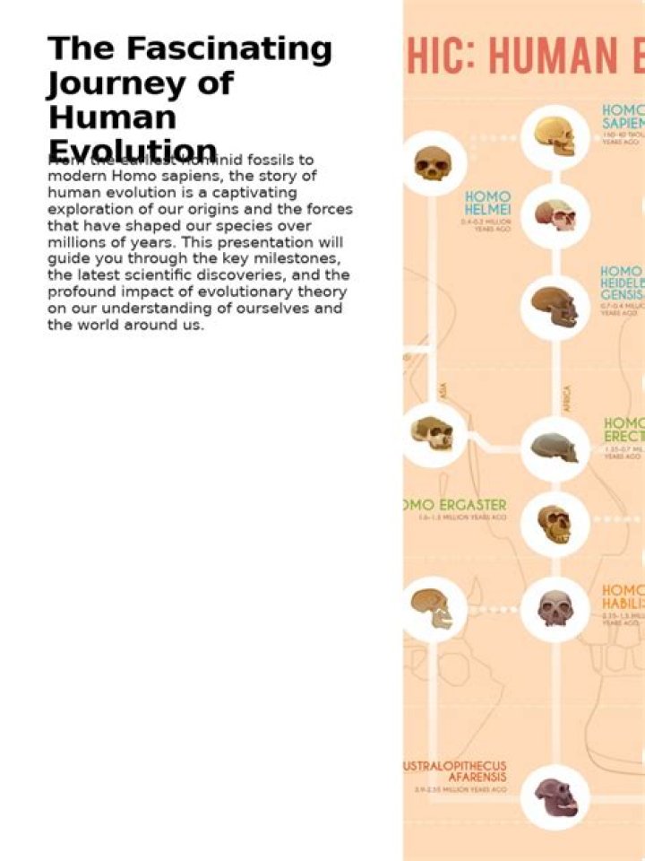 Discover His Age And Fascinating Journey