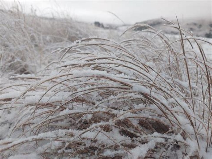 Discover The Hidden Depths Of "Snow In Sa Woman Wrapped With Blanket"