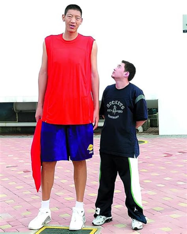 Discover The Secrets Behind Sun Mingming's Towering Height