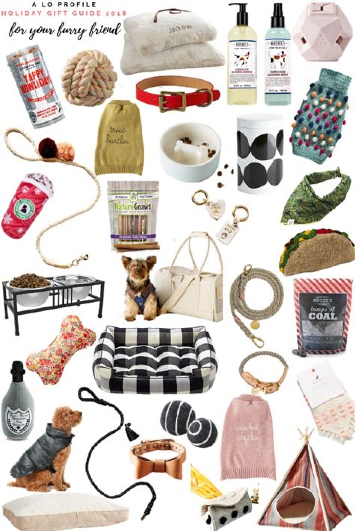 Discover The Ultimate Bunny Hedaya: Your Guide To Adorable Gifts For Your Furry Friend