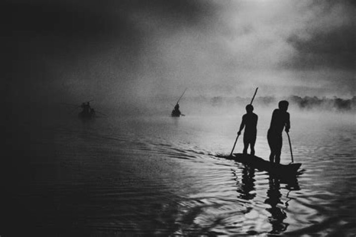 Discover The Vision Of Anthony Stare: Extraordinary Lens, Captivating Perspectives