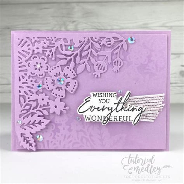 Discover Untold Secrets And Enchanting Details