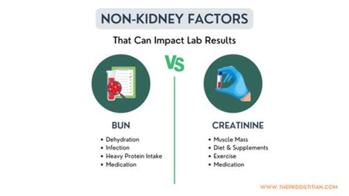 Discoveries And Insights About Bun B's Stature