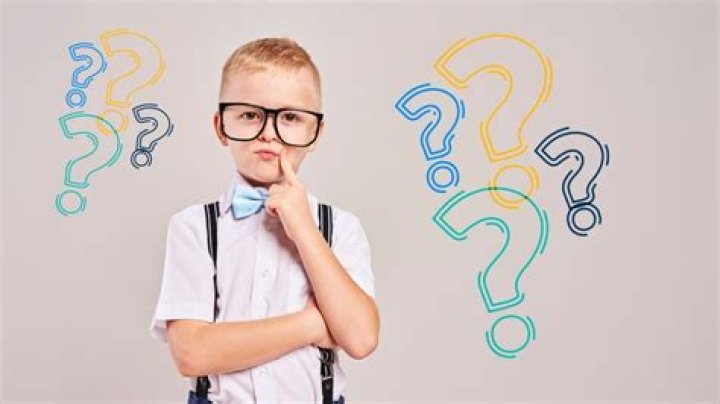 Discoveries And Insights For The Curious Mind