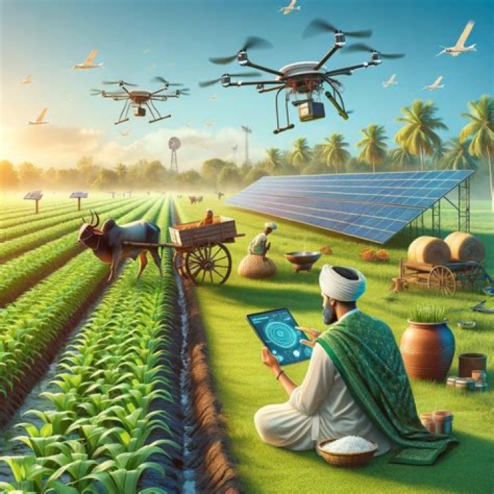 Discoveries And Insights In Agriculture