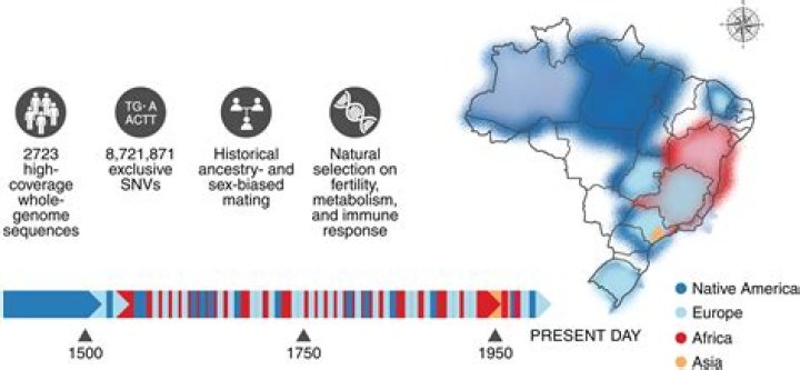 Discoveries And Insights Into Joanna Freda Hare