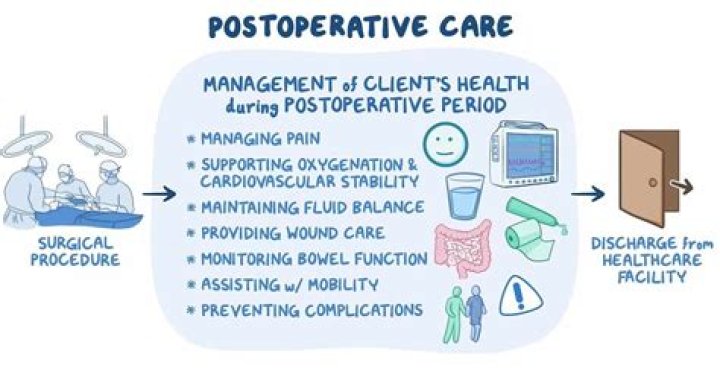 Discoveries And Insights Into Lia Thomas's Post-Operative Status