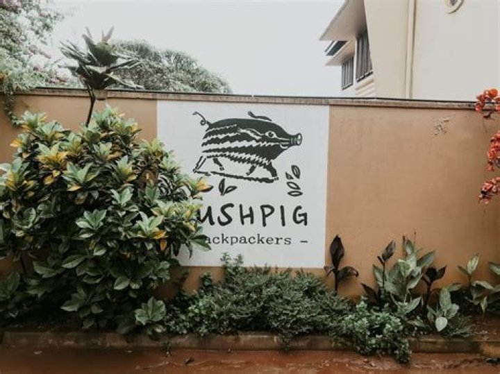Discoveries At Bushpig Backpackers Hostel