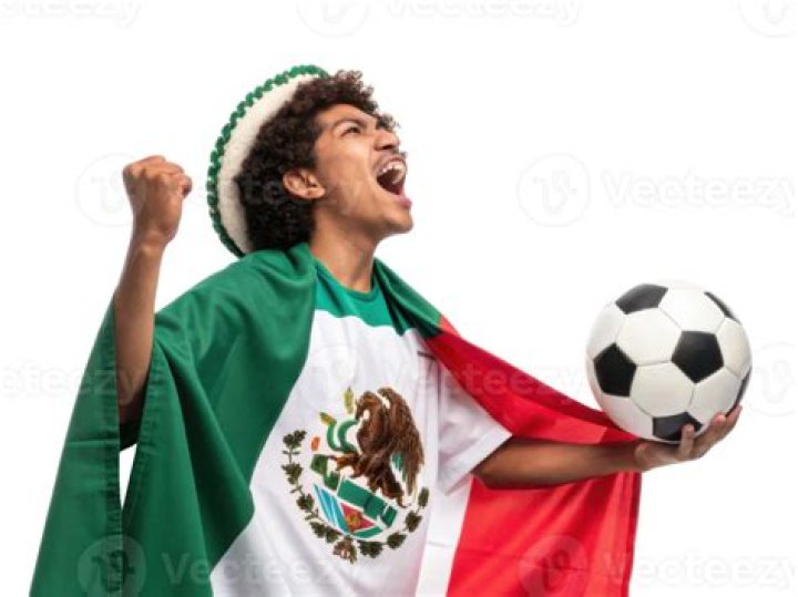 Discoveries For The Passionate Fan