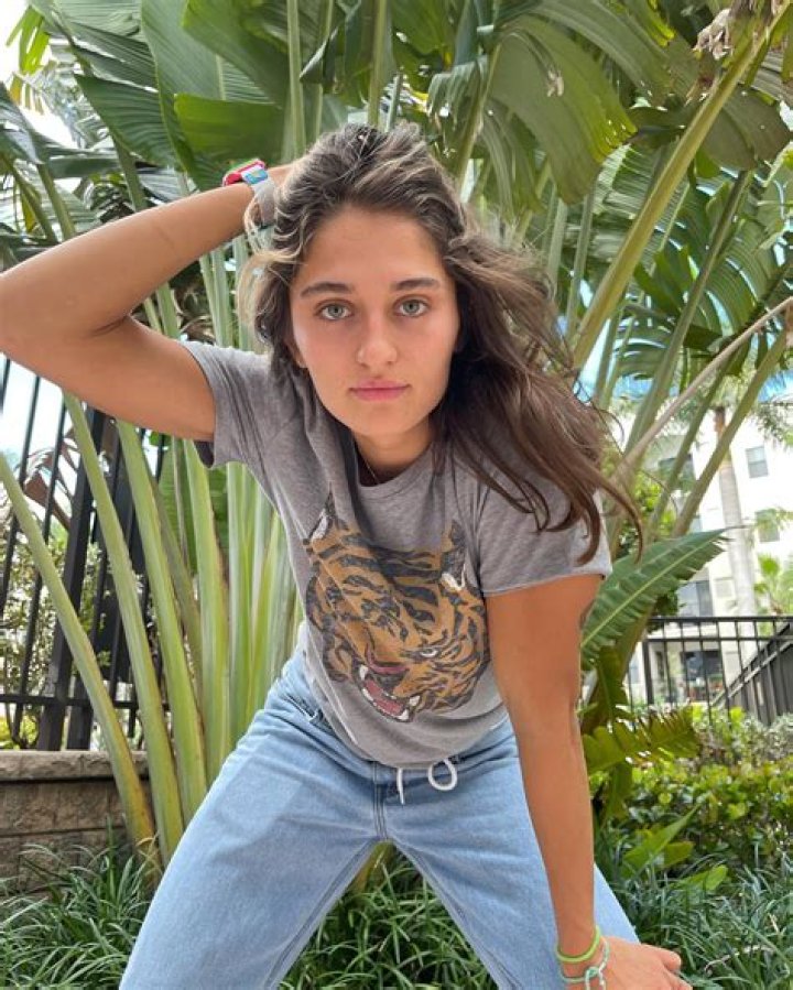 Discovering The Age Of Avery Cyrus