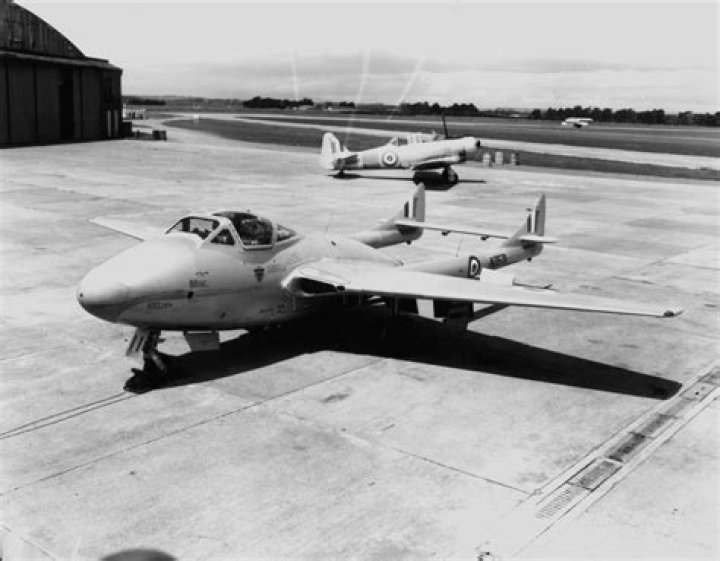 Dive Into Alana Thompson's Age And Beyond