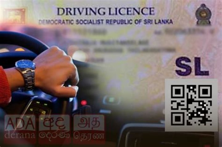 Drive Success With Expert SEO Services In Sri Lanka