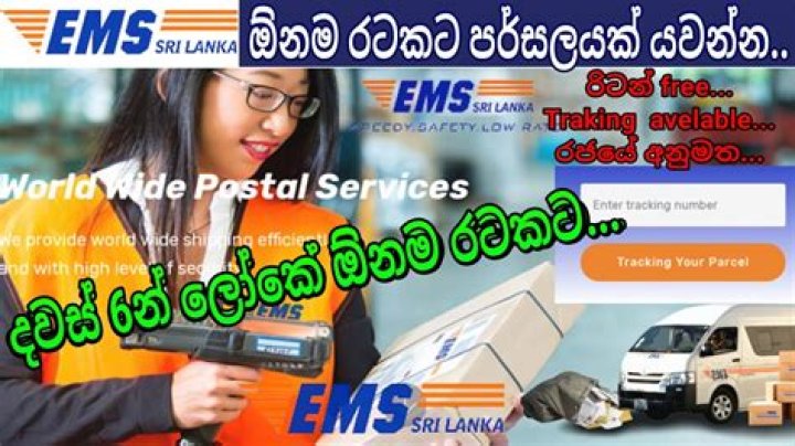 Expert SEO Specialists Providing Top-Tier Services In Sri Lanka