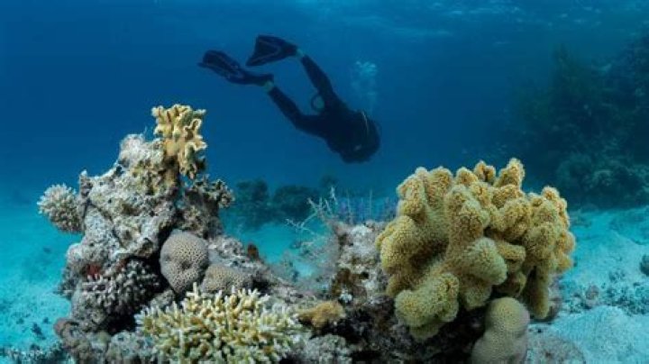 Explore The Depths Of "italia Anita Maria Smith"