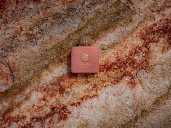 Exploring Moises Arias' Ethnicity: A Deep Dive Into His Cultural Background