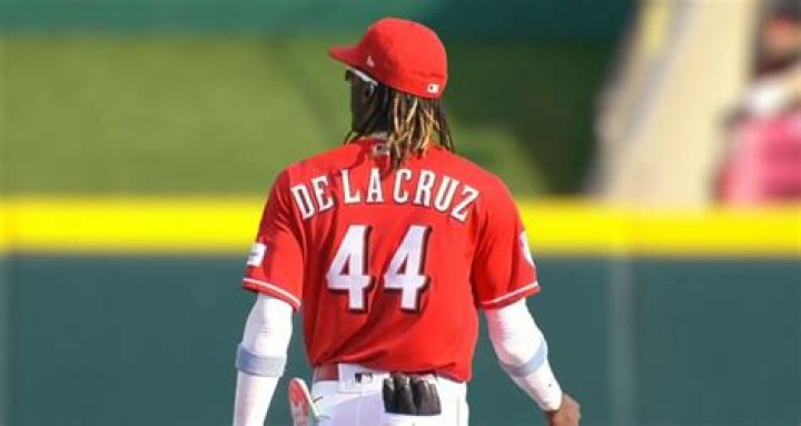 Exploring The Connection: Is Brian De La Cruz Related To Elly De La Cruz?