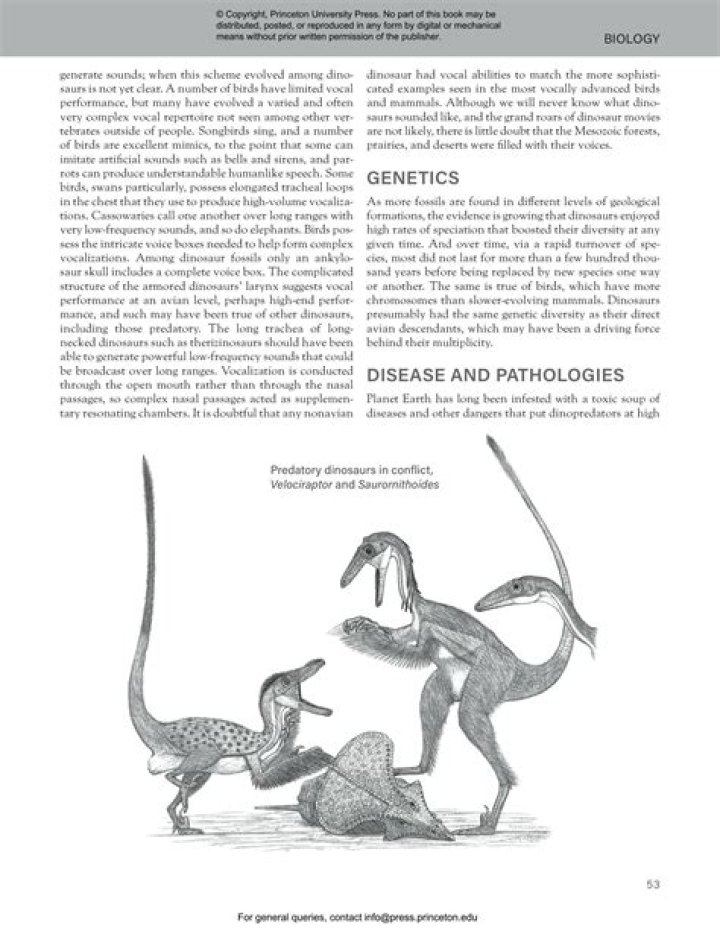 Exposing Paul Walker's Predatory Past: The Disturbing Truth