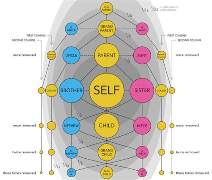 Family Symbols: Unveiling Meaningful Representations Of Kinship