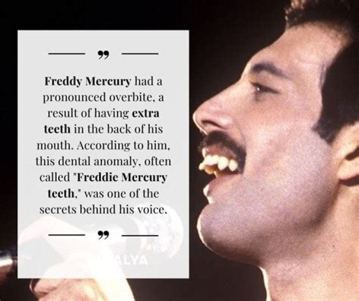 Freddie Mercury's Children: Uncovering The Truth