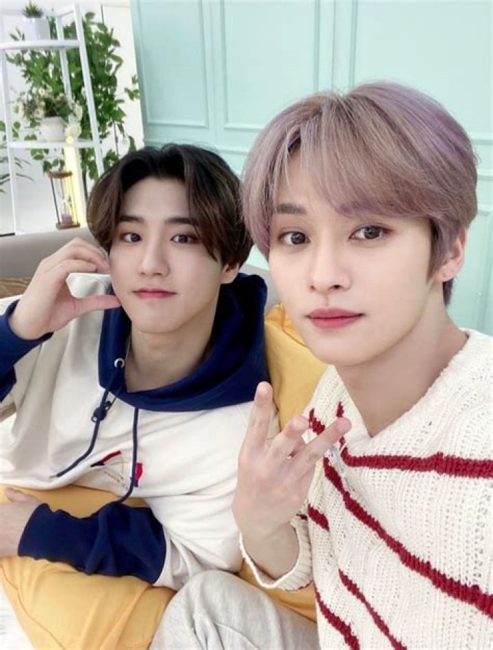 Get To Know Kim Ji Won's Younger Sister: Uncovering The Sibling Bond