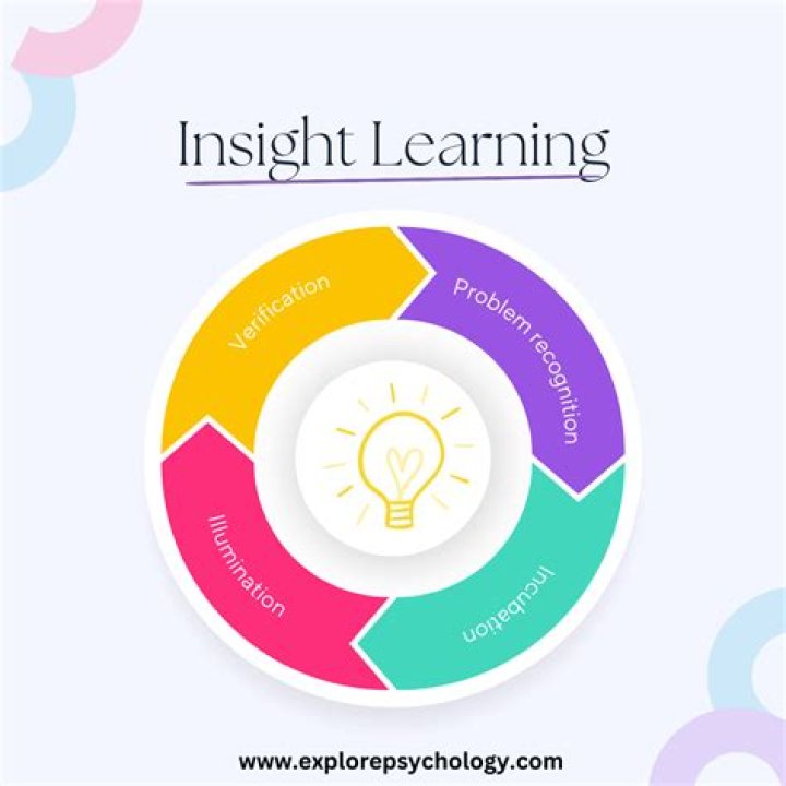 Insights And Discoveries In Education
