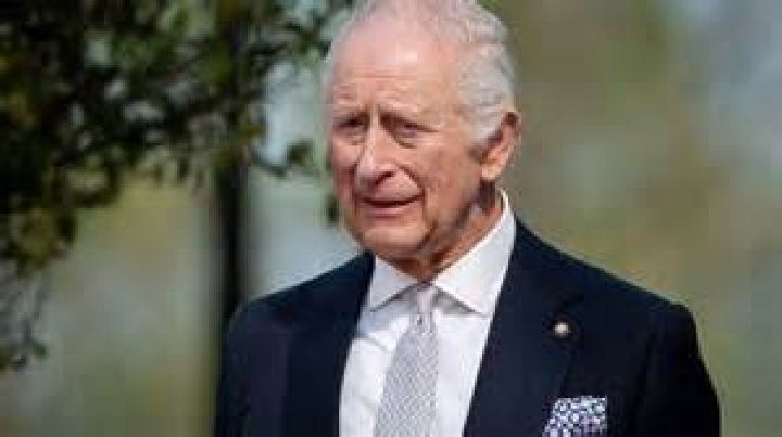 Insights And Revelations For The Verup4 Niche