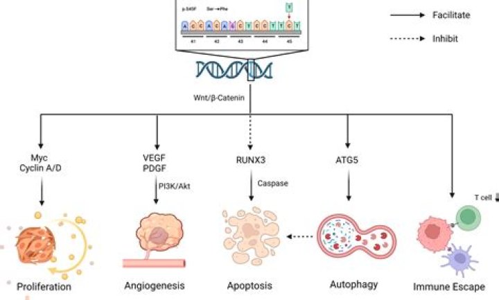 Kurt Russell's Death Hoax And Its Implications