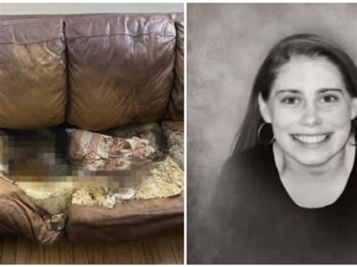 Lace Up Your Style: Discover The Allure Of Lacey Fletcher Images