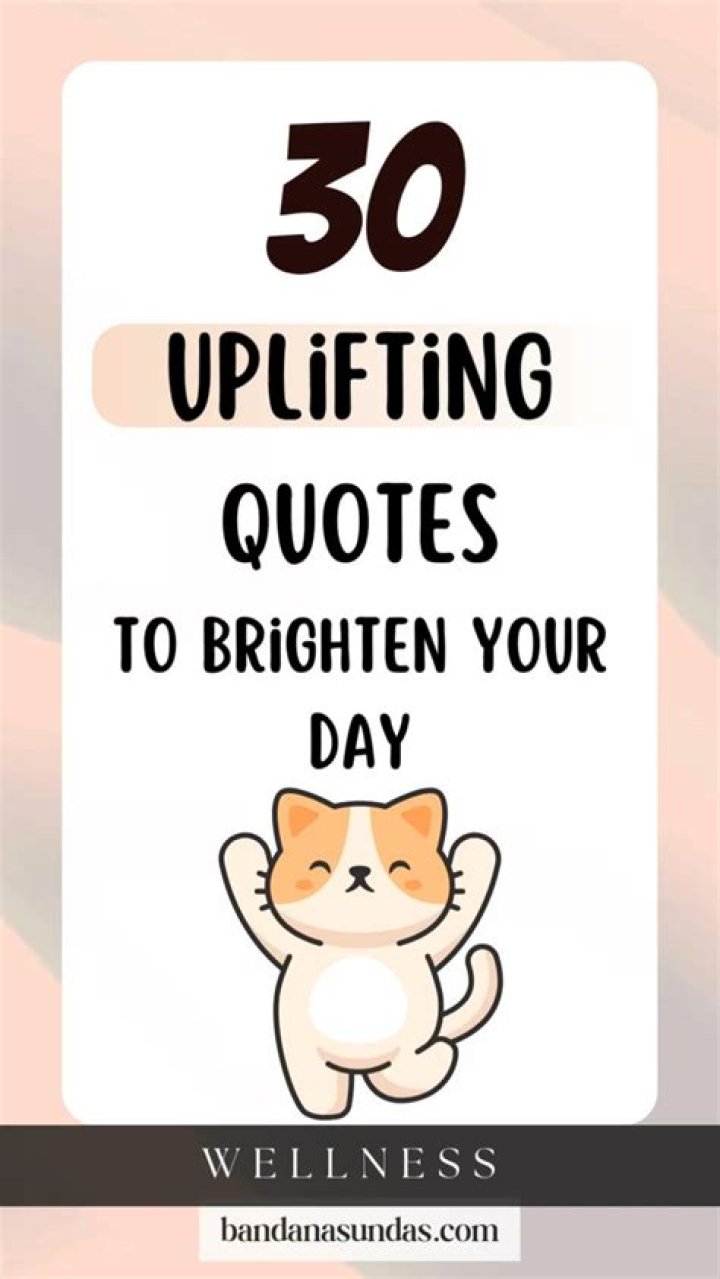 Laughter's Therapy: Funny And Uplifting Quotes To Brighten Your Day