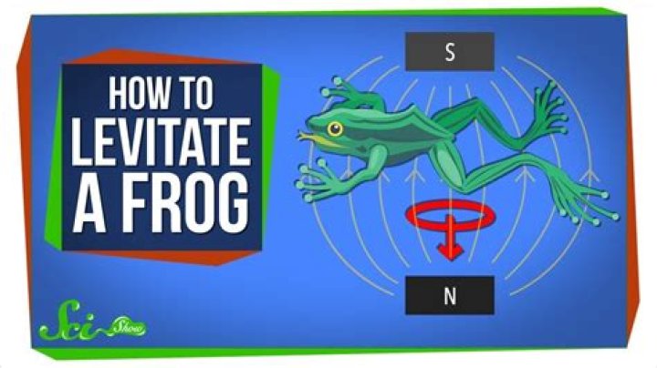 Levitating frogs using magnetic fields