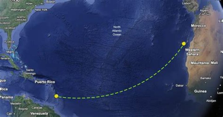 Maha Tiimob's Death And Michael Perham's Arrest
