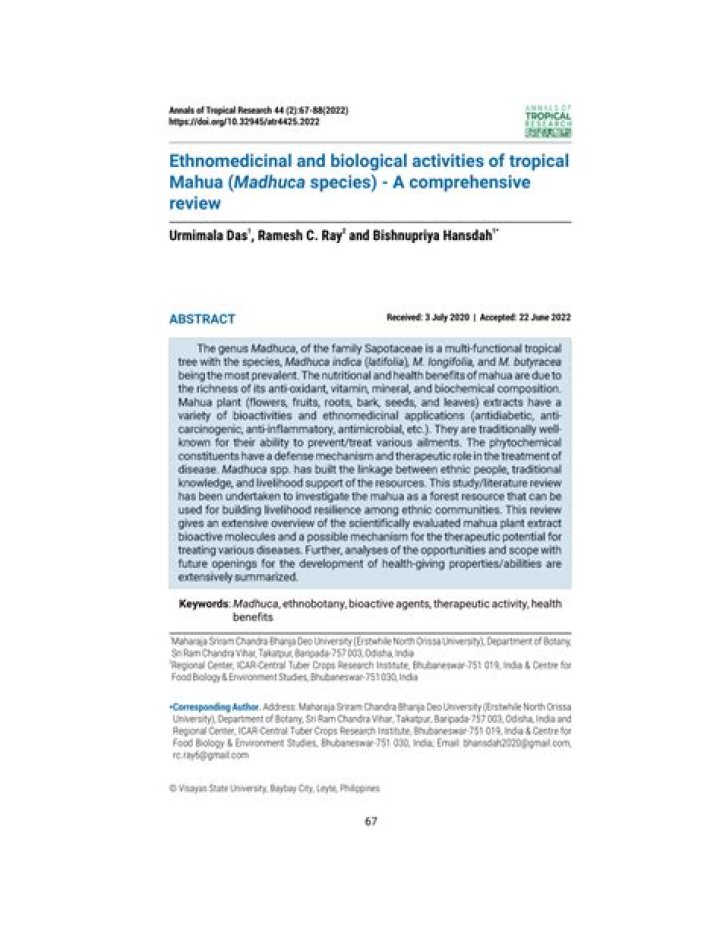 Mahua Scan: Comprehensive Overview And Expert Insights