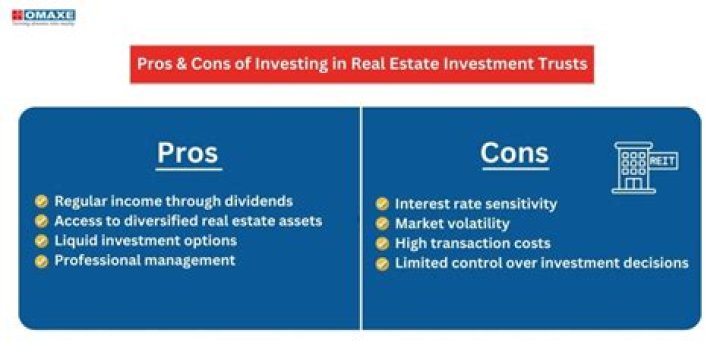Mama Lamine Yamala: The Pros And Cons Of Investing