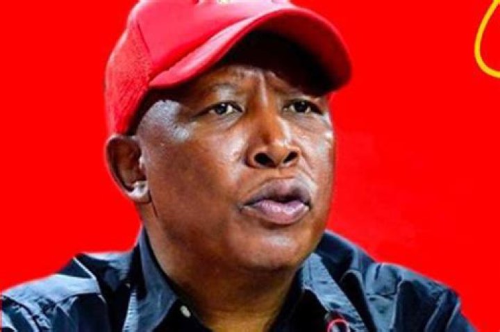 Mantwa Malema: A Powerful Voice In South African Politics